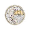 Patek Philippe Complications 5231
