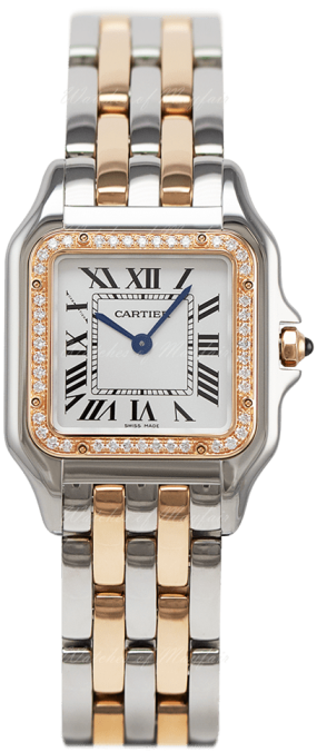 Cartier Panthere Panthere de Cartier Medium