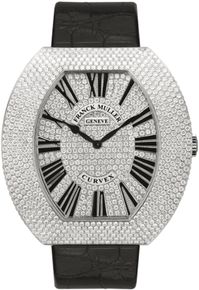 Franck Muller Infinity Curvex