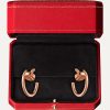 Серьги Cartier Juste un Clou