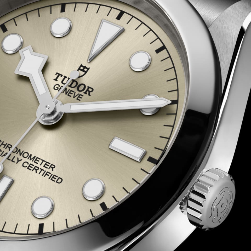 Tudor Black Bay 41mm Steel